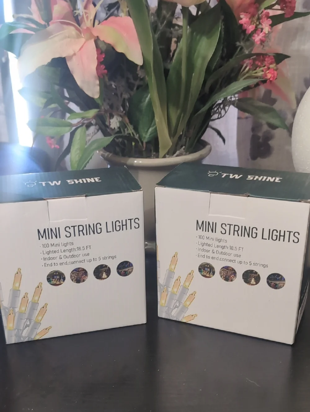 Mini String Lights - Clear Bulbs (2-Pack)
